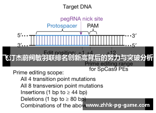 飞汀杰蔚阀敏羽联排名创新高背后的努力与突破分析